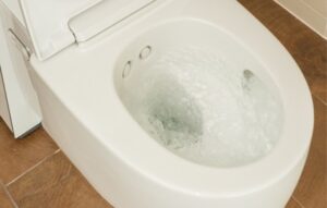 Geberit Aquaclean Me