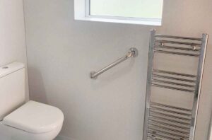 Toilet and handrail